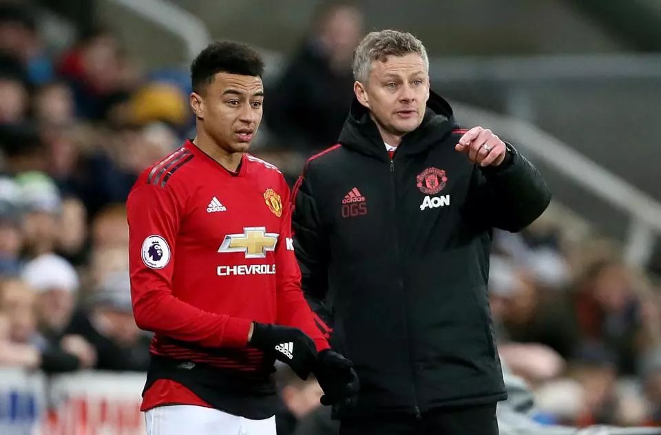 了运动员的 了运动员的